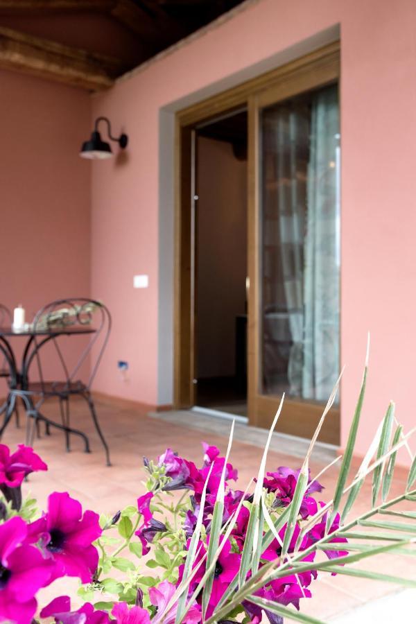 Agriturismo L'Aquilone Magliano in Toscana Eksteriør billede