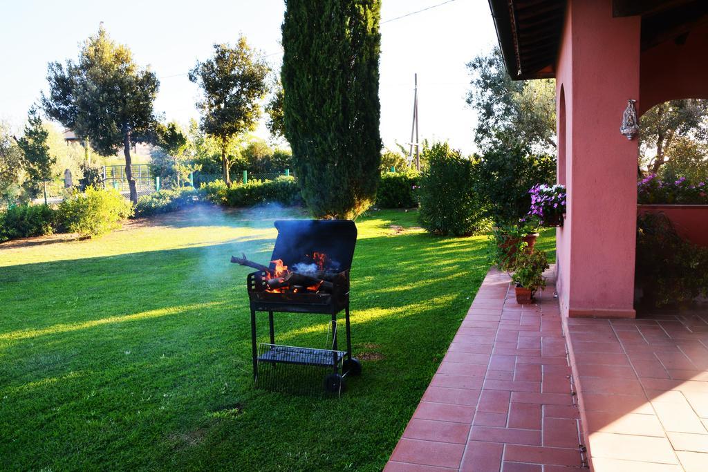 Agriturismo L'Aquilone Magliano in Toscana Eksteriør billede