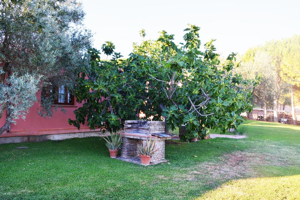 Agriturismo L'Aquilone Magliano in Toscana Eksteriør billede