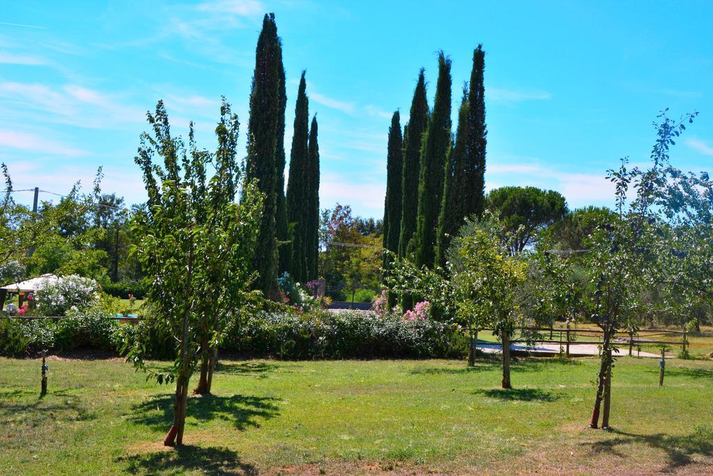 Agriturismo L'Aquilone Magliano in Toscana Eksteriør billede