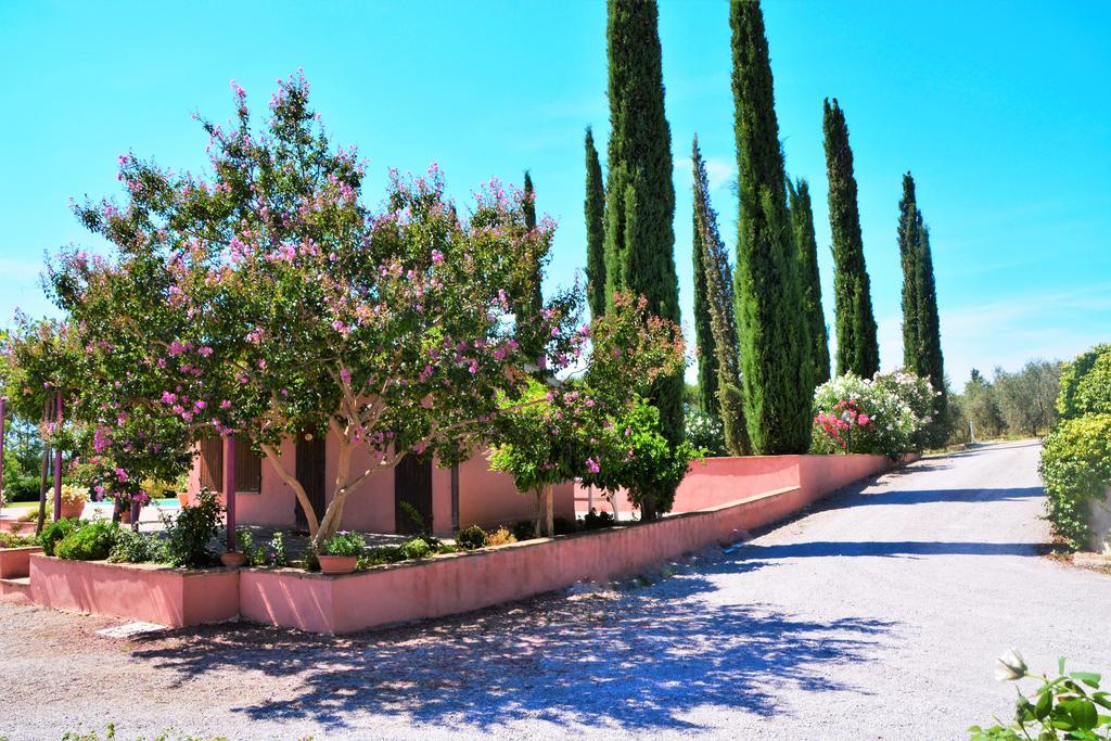 Agriturismo L'Aquilone Magliano in Toscana Eksteriør billede