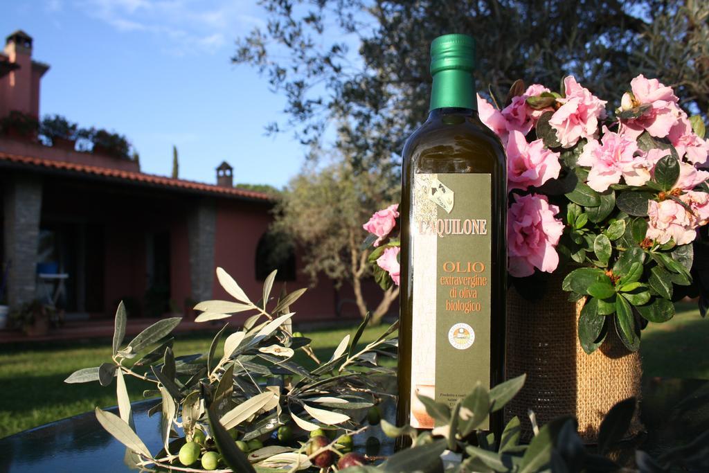 Agriturismo L'Aquilone Magliano in Toscana Eksteriør billede