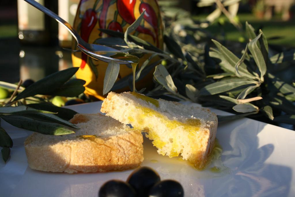 Agriturismo L'Aquilone Magliano in Toscana Eksteriør billede