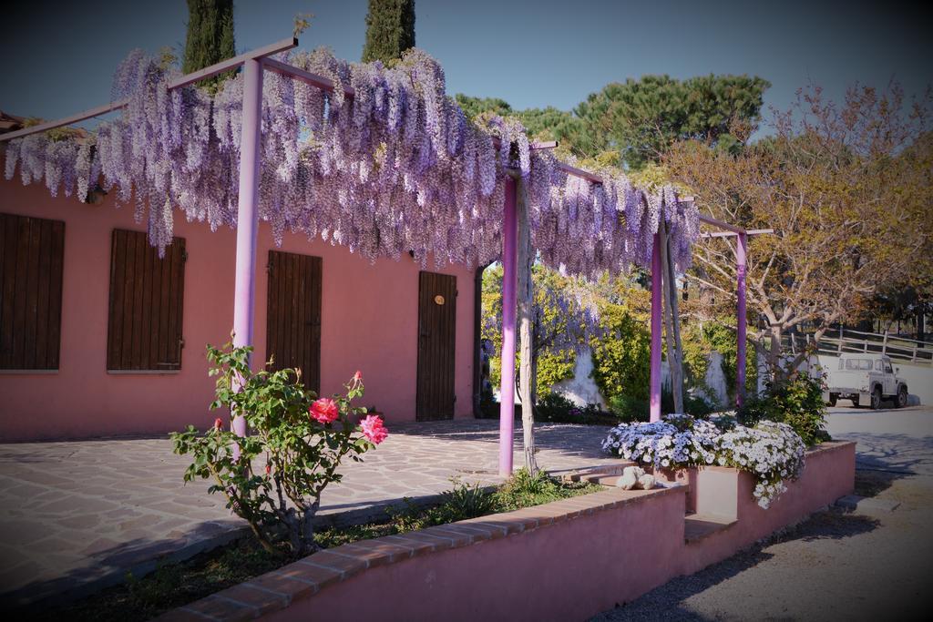 Agriturismo L'Aquilone Magliano in Toscana Eksteriør billede